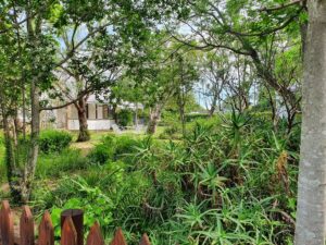 forget-me-not-country-escape